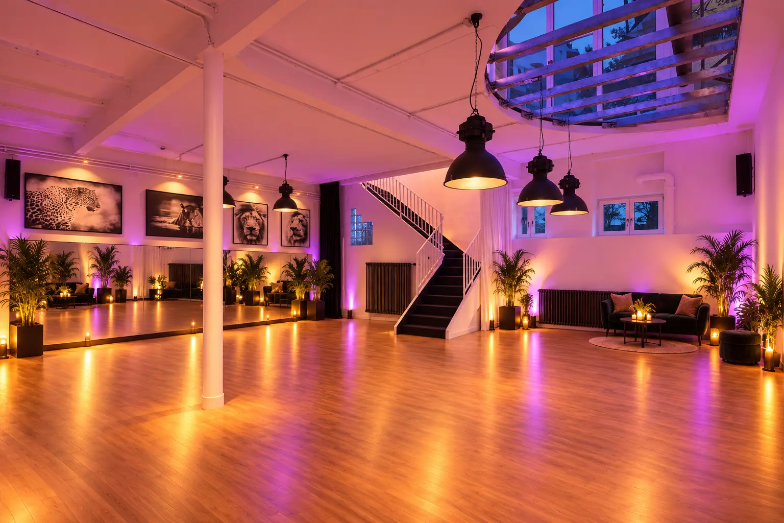 Das neue ALMA Studio Frankfurt
